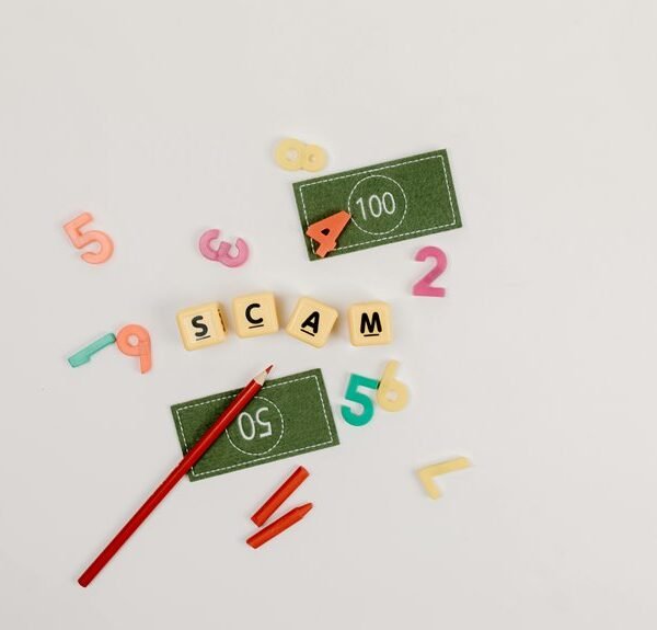 enterprise number governance overview