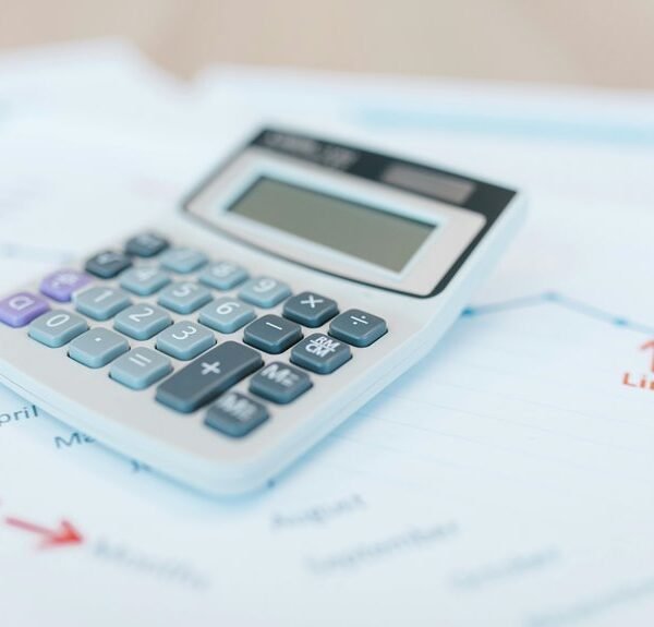 numeric governance file details