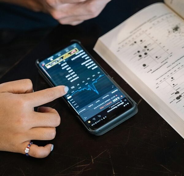 portfolio data reference summary