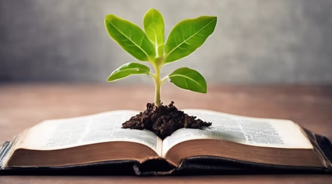 Distinctive Strategies for Church Growth
